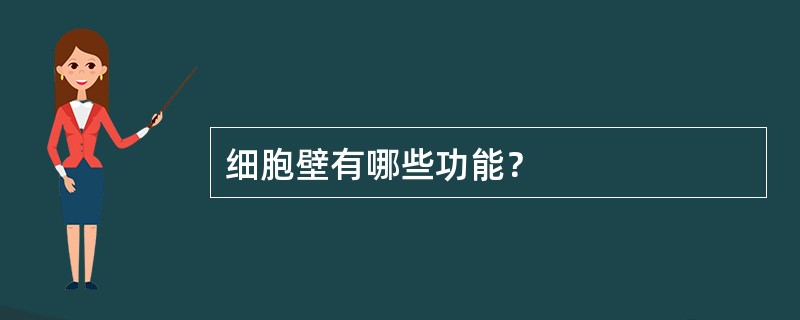 细胞壁有哪些功能？