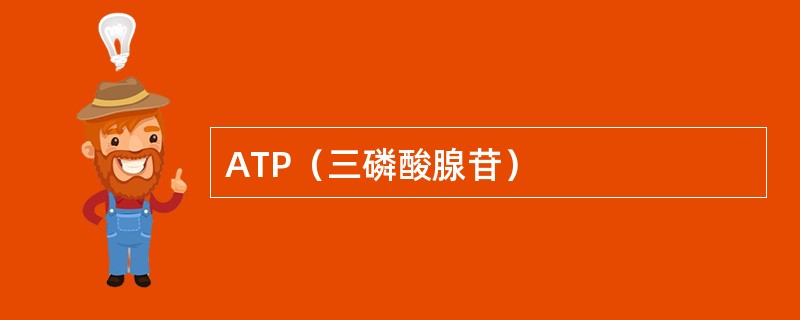 ATP（三磷酸腺苷）