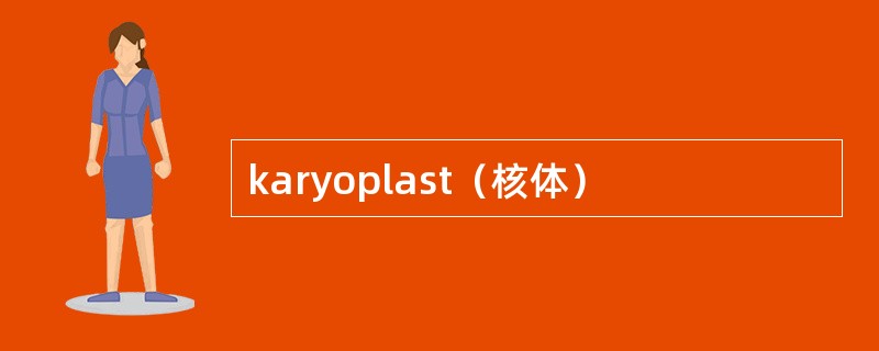 karyoplast（核体）