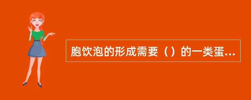 胞饮泡的形成需要（）的一类蛋白质的辅助。