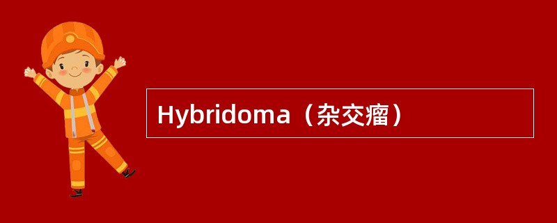 Hybridoma（杂交瘤）