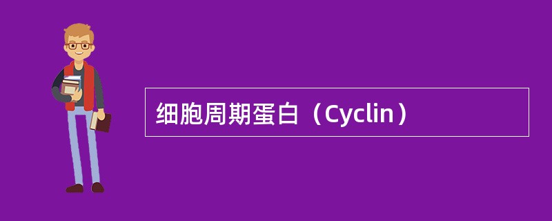 细胞周期蛋白（Cyclin）