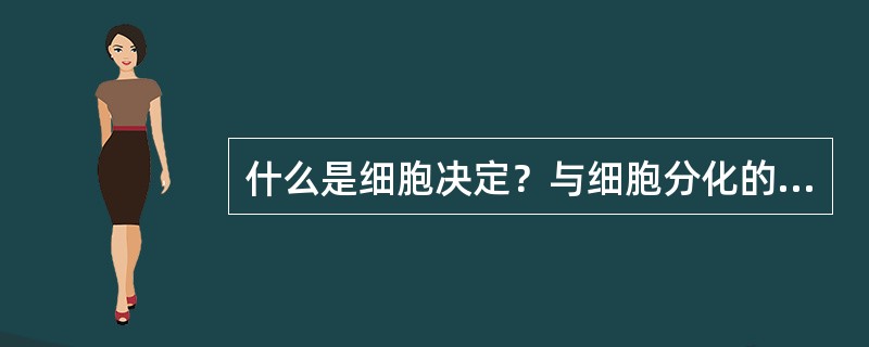 什么是细胞决定？与细胞分化的关系如何？