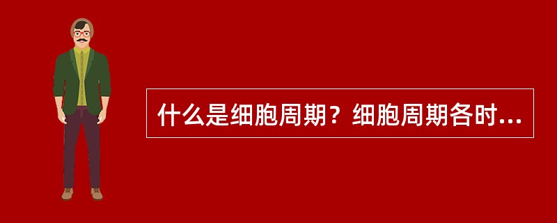 什么是细胞周期？细胞周期各时期主要变化是什么？