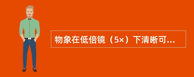 物象在低倍镜（5×）下清晰可见，换高倍镜（45×）后看不见了，这是因为（）