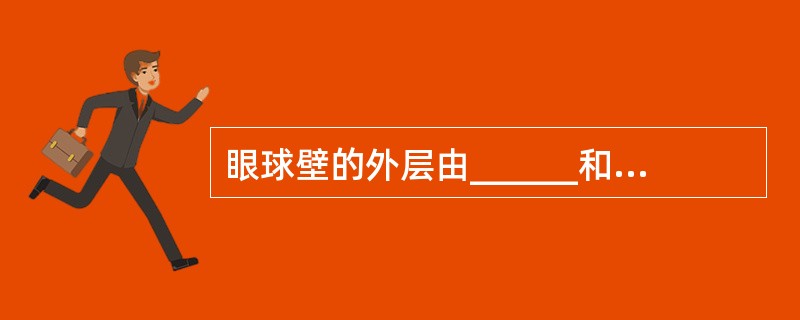 眼球壁的外层由______和______组成。