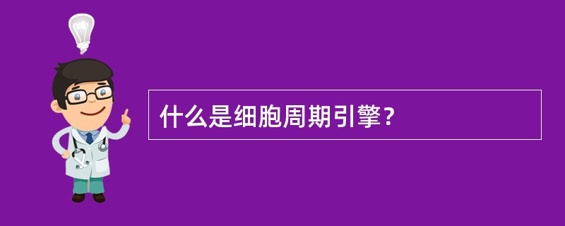 什么是细胞周期引擎？