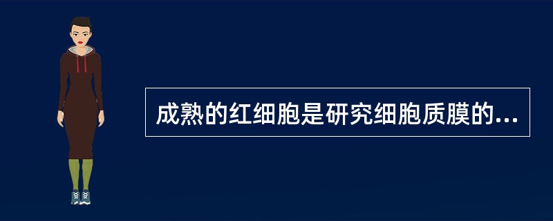 成熟的红细胞是研究细胞质膜的好材料，不仅没有细胞核，也没有（）。