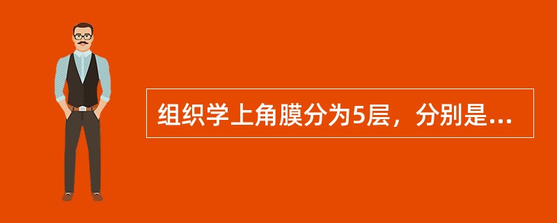 组织学上角膜分为5层，分别是______、______、______、_____