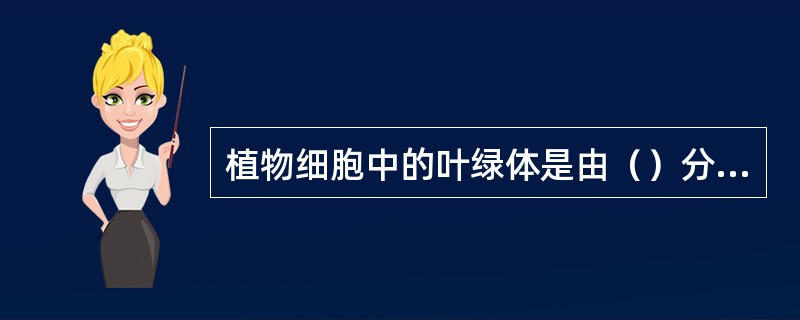 植物细胞中的叶绿体是由（）分化而来。在叶绿体的分裂过程中，（）是叶绿体分裂的细胞