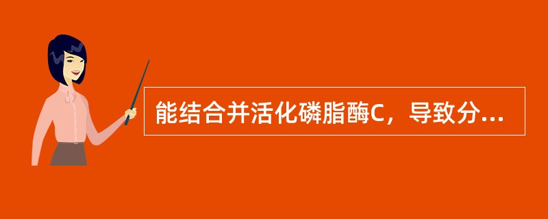 能结合并活化磷脂酶C，导致分解PIP2生成PIP3和甘油二酯的G蛋白是（）