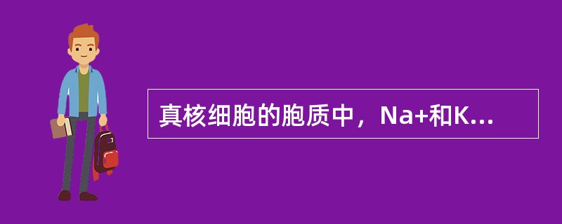 真核细胞的胞质中，Na+和K+平时相对胞外，保持（）。