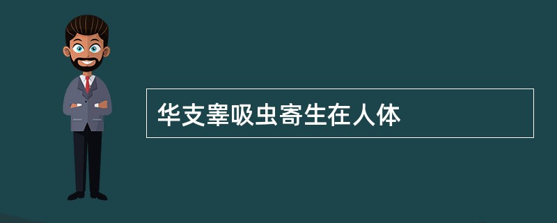 华支睾吸虫寄生在人体