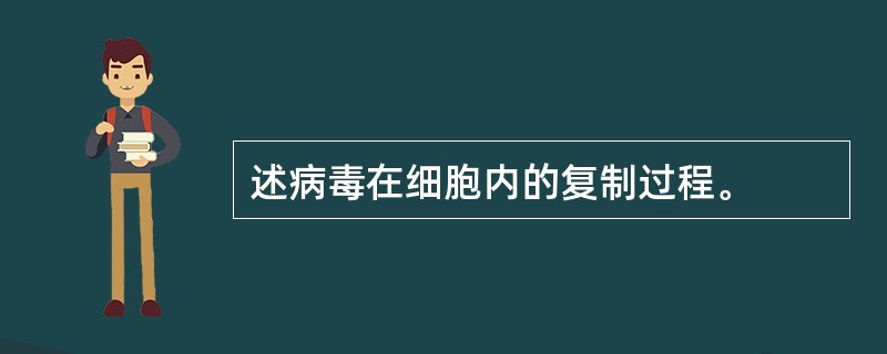 述病毒在细胞内的复制过程。