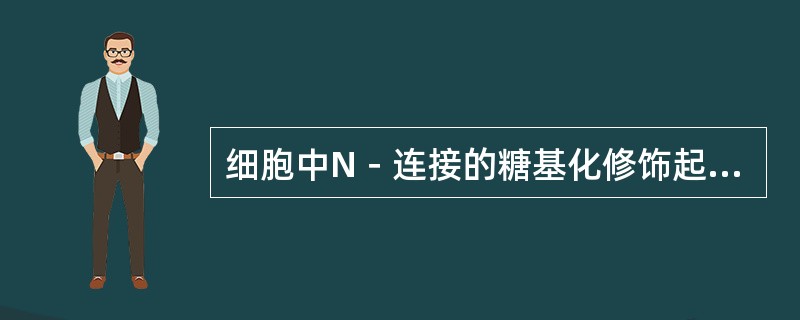 细胞中N－连接的糖基化修饰起始于内质网中，一般完成于高尔基体。（）