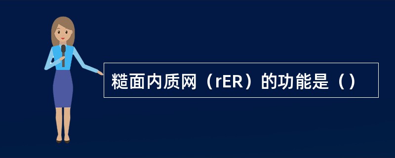 糙面内质网（rER）的功能是（）