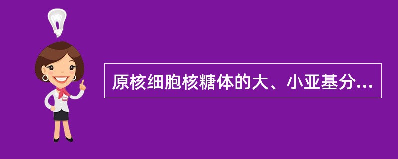 原核细胞核糖体的大、小亚基分别为50S和30S，其完整核糖体为（）