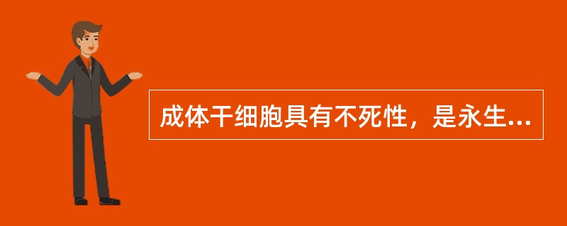 成体干细胞具有不死性，是永生细胞。