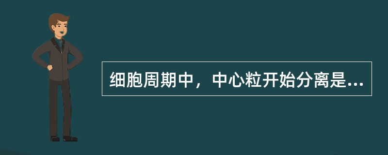 细胞周期中，中心粒开始分离是发生在（）?