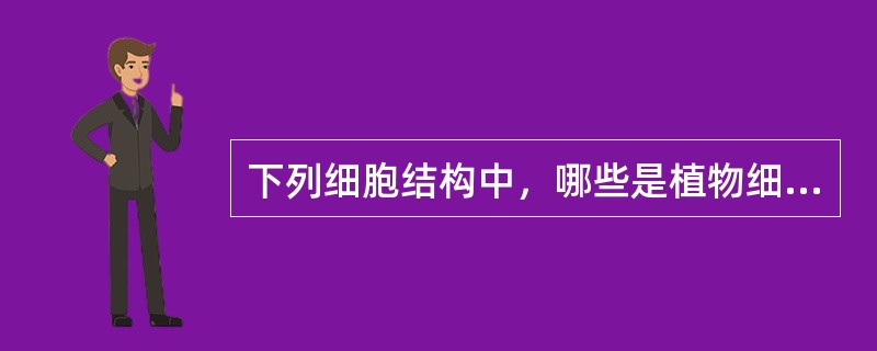 下列细胞结构中，哪些是植物细胞中特有的细胞器（）?