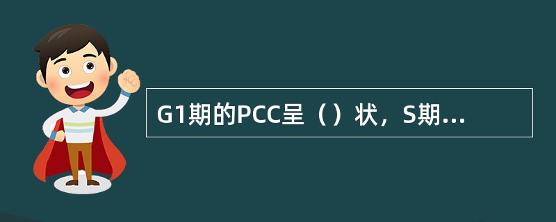 G1期的PCC呈（）状，S期的呈（）状，G2期的呈（）状。