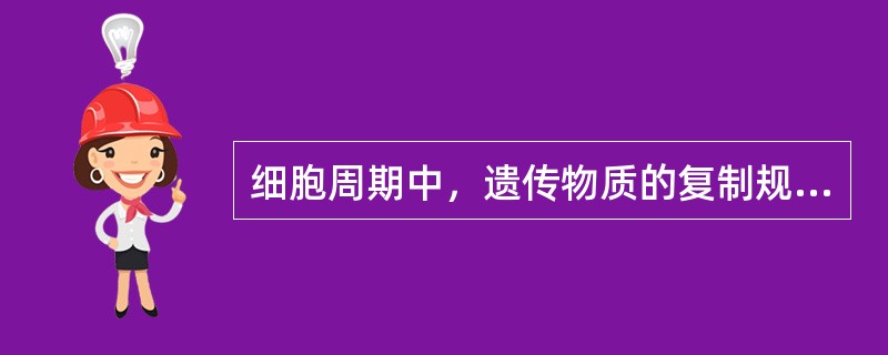 细胞周期中，遗传物质的复制规律是（）