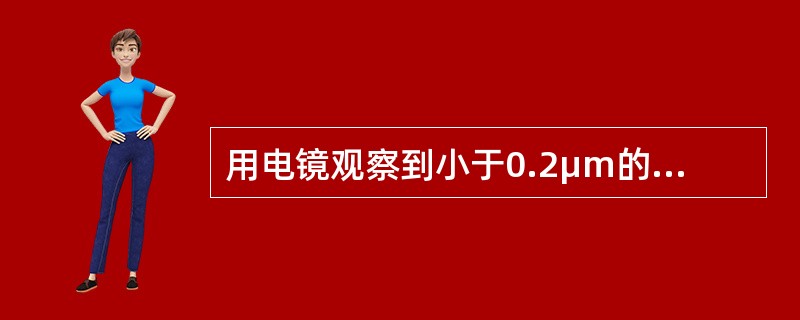 用电镜观察到小于0.2μm的细胞结构称为（）