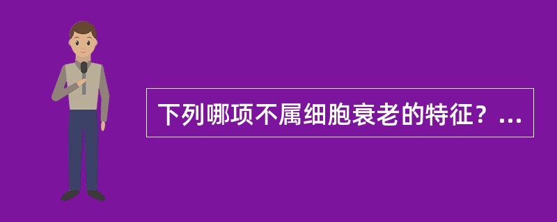 下列哪项不属细胞衰老的特征？（）