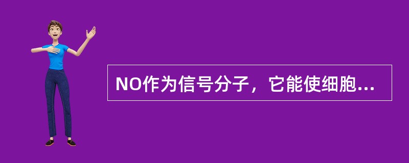 NO作为信号分子，它能使细胞内的（）水平升高