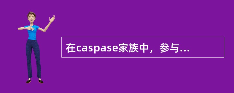 在caspase家族中，参与白介素活化的是（）