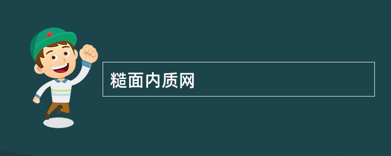 糙面内质网