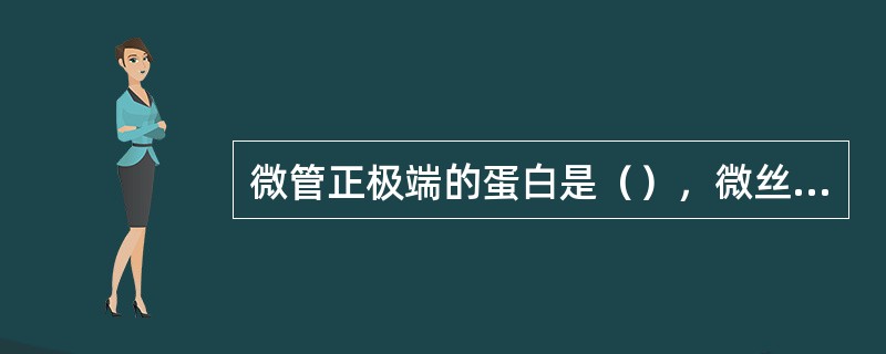 微管正极端的蛋白是（），微丝正极端的特点是（）。