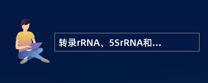 转录rRNA、5SrRNA和hnRNA的酶分别是（）、RNA聚合酶Ⅲ、（）。