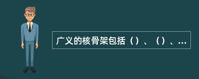 广义的核骨架包括（）、（）、染色体骨架。