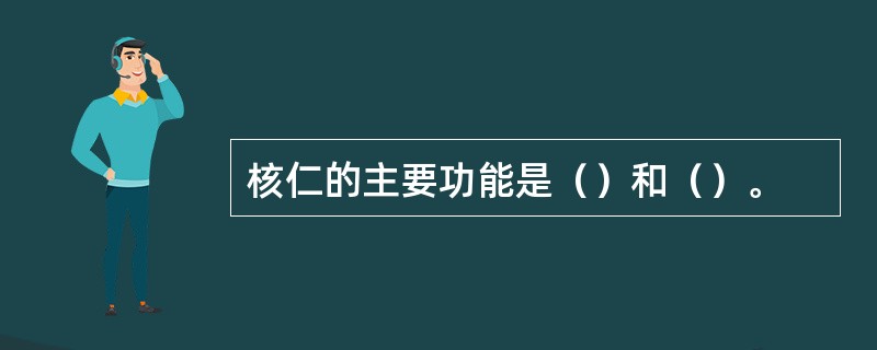 核仁的主要功能是（）和（）。