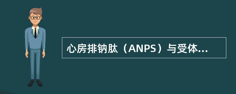 心房排钠肽（ANPS）与受体结合，直接激活鸟苷酸环化酶活性，产生的cGMP下游的