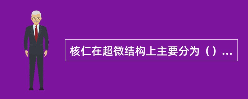 核仁在超微结构上主要分为（）；（）、颗粒组分。