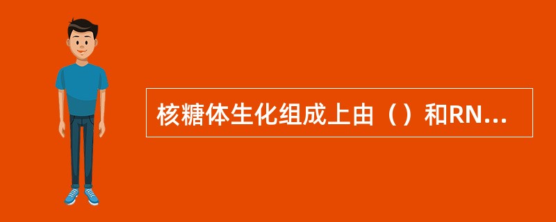 核糖体生化组成上由（）和RNA组成。