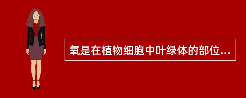 氧是在植物细胞中叶绿体的部位（）上所进行的光合磷酸化（光合作用）的过程中产生的。