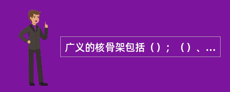 广义的核骨架包括（）；（）、染色体骨架。