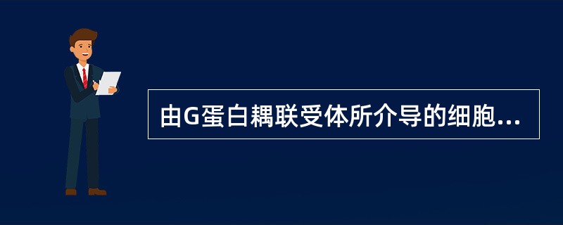 由G蛋白耦联受体所介导的细胞信号通路主要包括（）、（）。