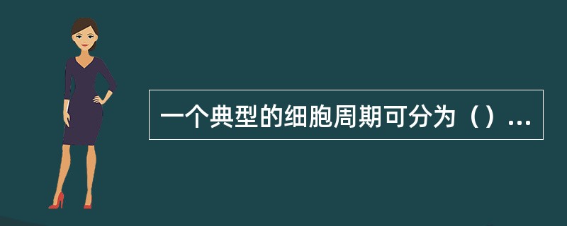 一个典型的细胞周期可分为（）；（）、G2期、M期。