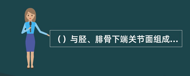 （）与胫、腓骨下端关节面组成髁关节。