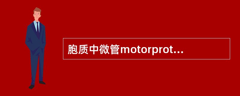 胞质中微管motorprotein分为两大类分别为（）、和动力蛋白（c.ytop