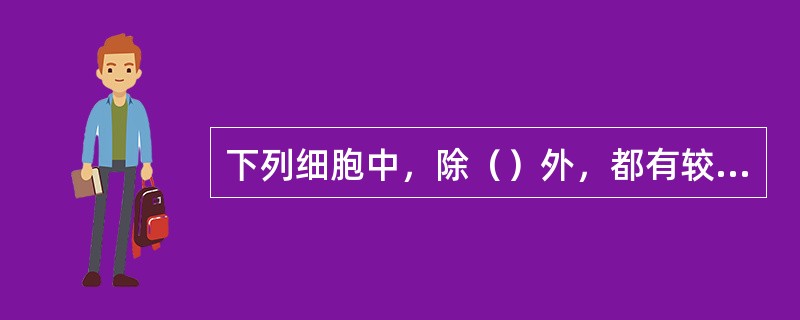 下列细胞中，除（）外，都有较多的高尔基复合体。