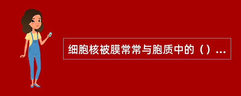 细胞核被膜常常与胞质中的（）相连通。