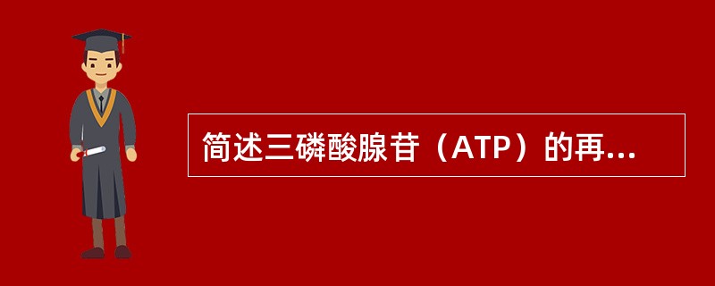 简述三磷酸腺苷（ATP）的再合成途径有哪些？