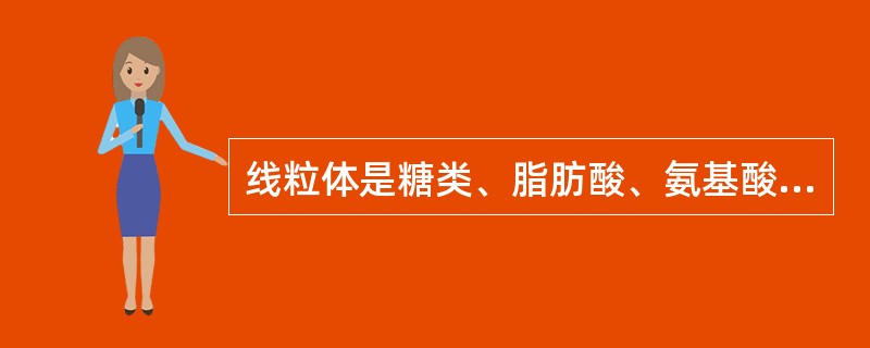 线粒体是糖类、脂肪酸、氨基酸最终氧化的场所。