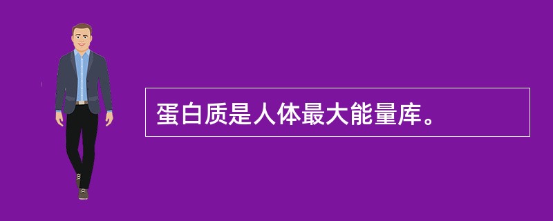 蛋白质是人体最大能量库。