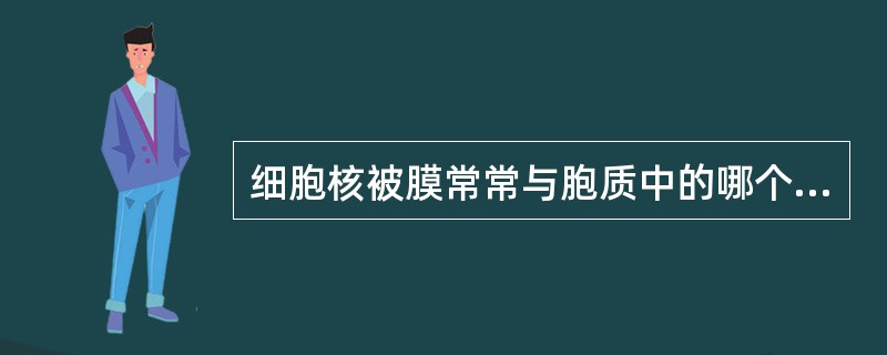 细胞核被膜常常与胞质中的哪个细胞器相连？（）